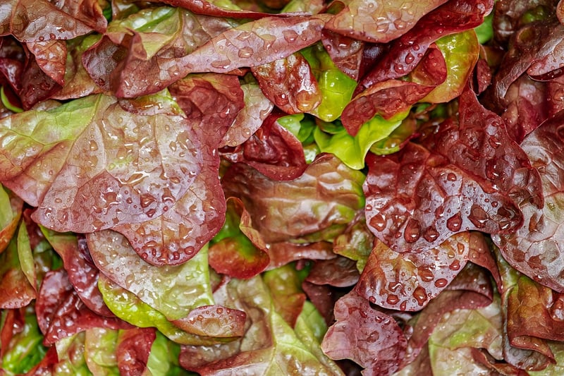Flavorful Herbs and Spices